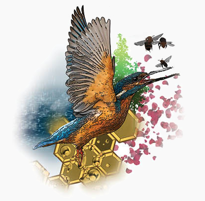 The Kingfisher Project